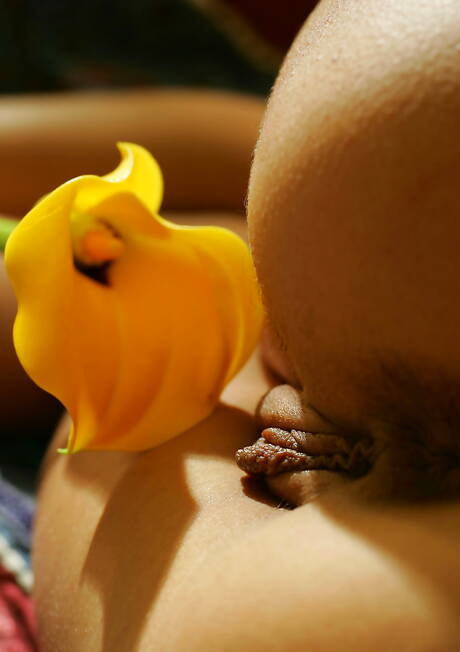 Stunning 18 invites you to browse their free pictures with Edison X showing nice body